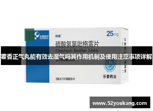 藿香正气丸能有效去湿气吗其作用机制及使用注意事项详解